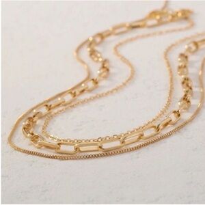 New! Gold Plated Necklace Stack Set (1049) NWOT